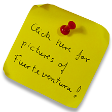 To the picture gallery Fuerteventura