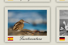 Reisebericht Fuerteventura