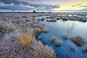 Diepholzer Moorniederung im Winter