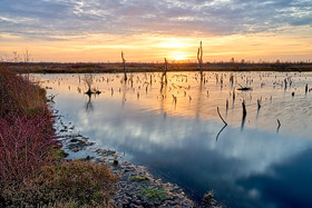 Herbst im Diepholzer Moor