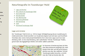 Reisebericht Teutoburger Wald