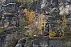 Elbe Sandstone Mountains