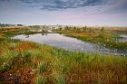 swamp in Germany