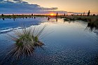 swamp in Germany