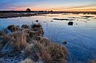 swamp in Germany