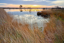German moor in autumn
